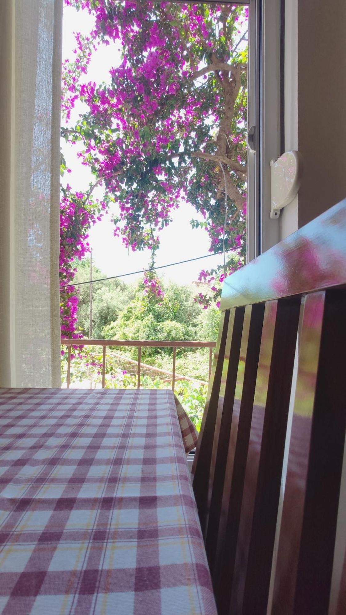 Apartments Ruza Budva Room photo
